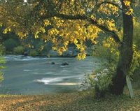 fall on the South Fork; photo by Mark Leder-Adams