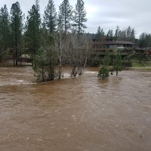 flow south of Hwy 49 Bridge