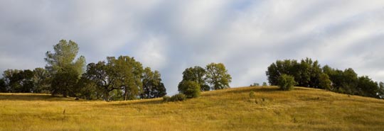 golden hills of Cronan Ranch near Coloma