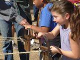 girl learning to make rope at Marshall Park, Coloma