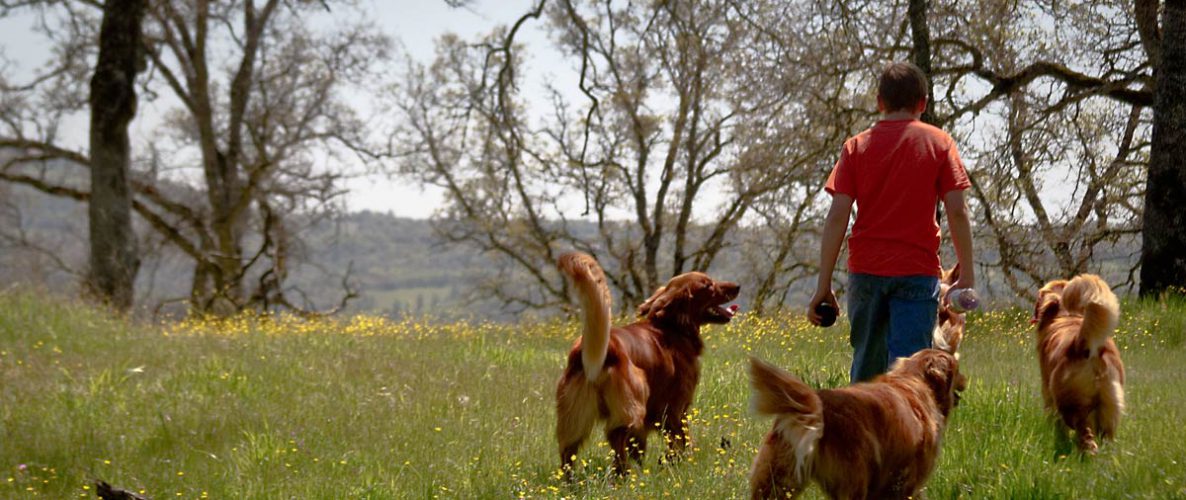 hiking in fields near Coloma, California