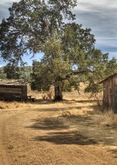 old ranch buildings at Cronan Ranch near Coloma