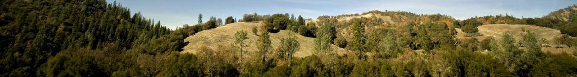 hills and trails at Cronan Ranch