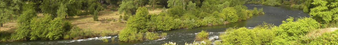 South Fork American River from Bassi Road