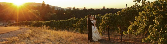 bride & groom at David Girard Vineyards