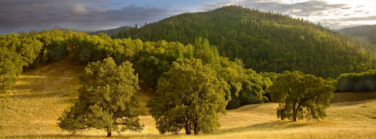 Cronan Ranch near Coloma, California