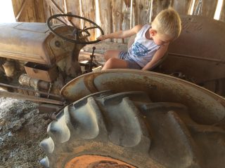 young farmer at Wakamatsu